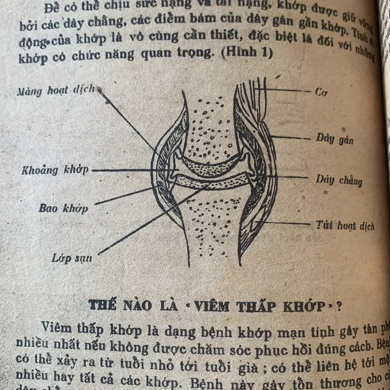Phục hồi cho người bệnh viêm khớp tại nhà, Ngô Thế Vinh 709510