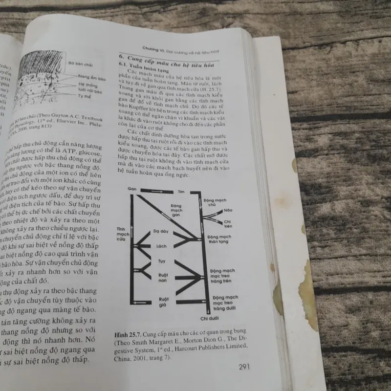 SINH LÝ HỌC Y KHOA- Tập 1-Giáo sư PHẠM ĐÌNH HỰU -ĐH Y Dược HCM  778118