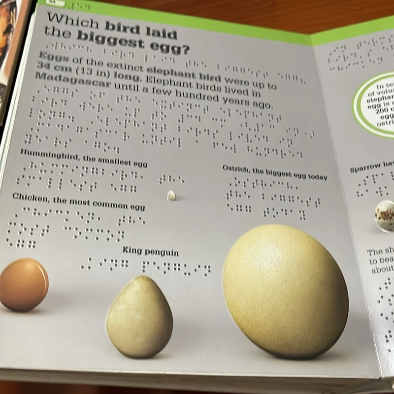 PICTURE BOOK it can’t be true! Supporting people with sight loss 536375