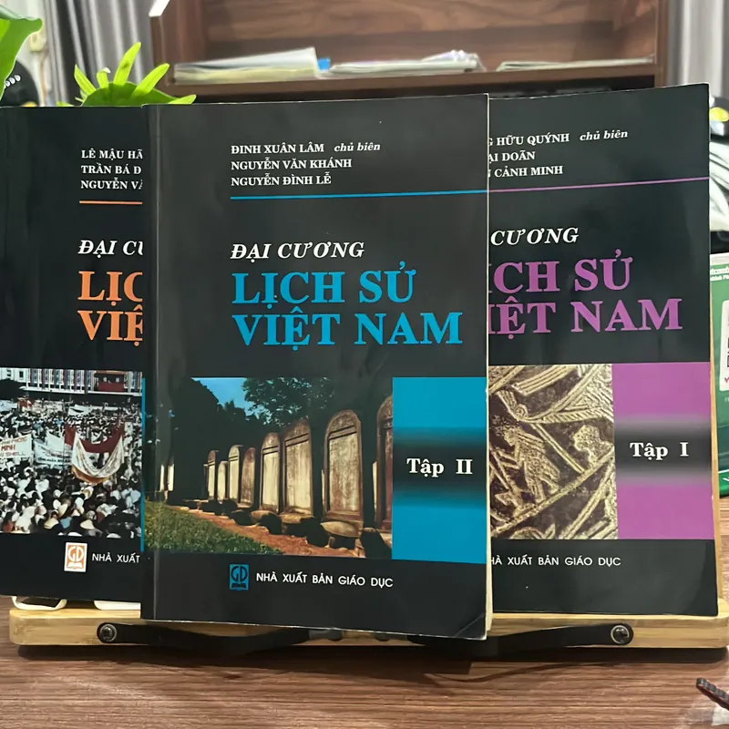Đại Cương Lịch sử Việt Nam 705451