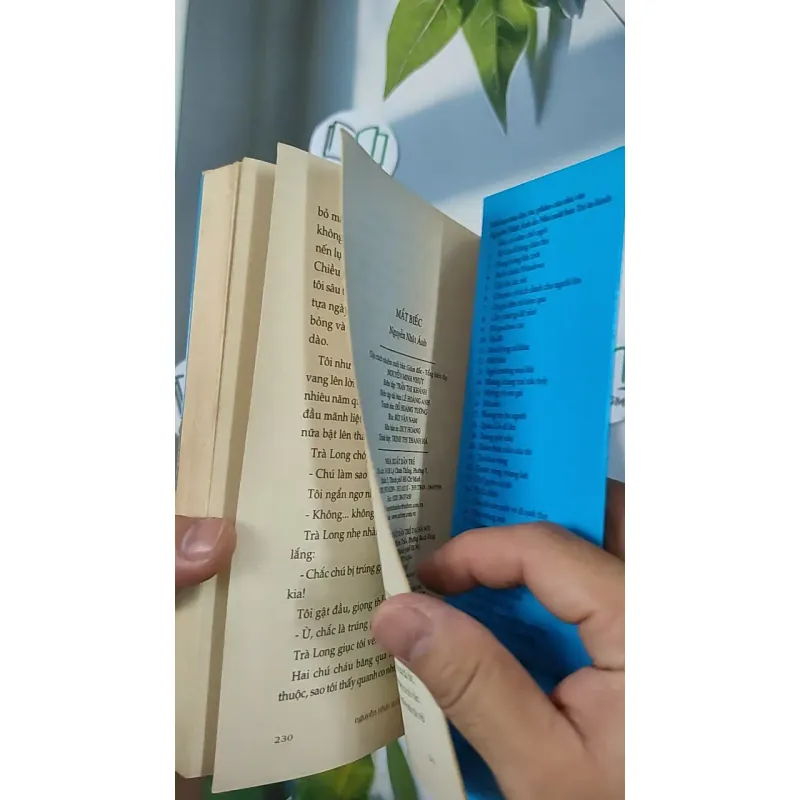 Mắt biếc - Nguyễn Nhật Ánh 798385