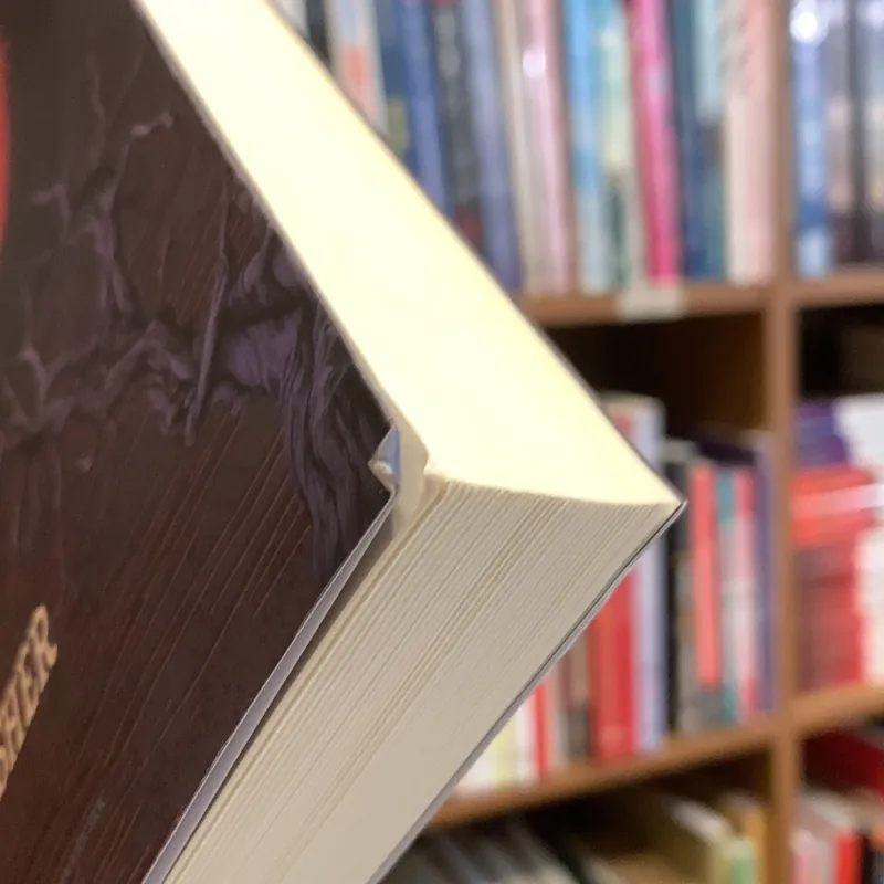 Sự sụp đổ của nhà Usher - Edgar Allan Poe 719567