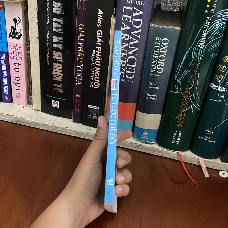 II Văn Học Nước Ngoài: Tử Tước Chẻ Đôi - ITALO CALVINO - 2014 549829
