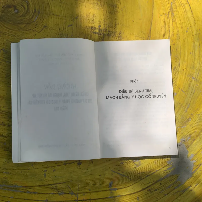 HƯỚNG DẪN CHỮA BỆNH TIM MẠCH VÀ HUYẾT ÁP THEO PP YHCT VÀ HIỆN ĐẠI  787279