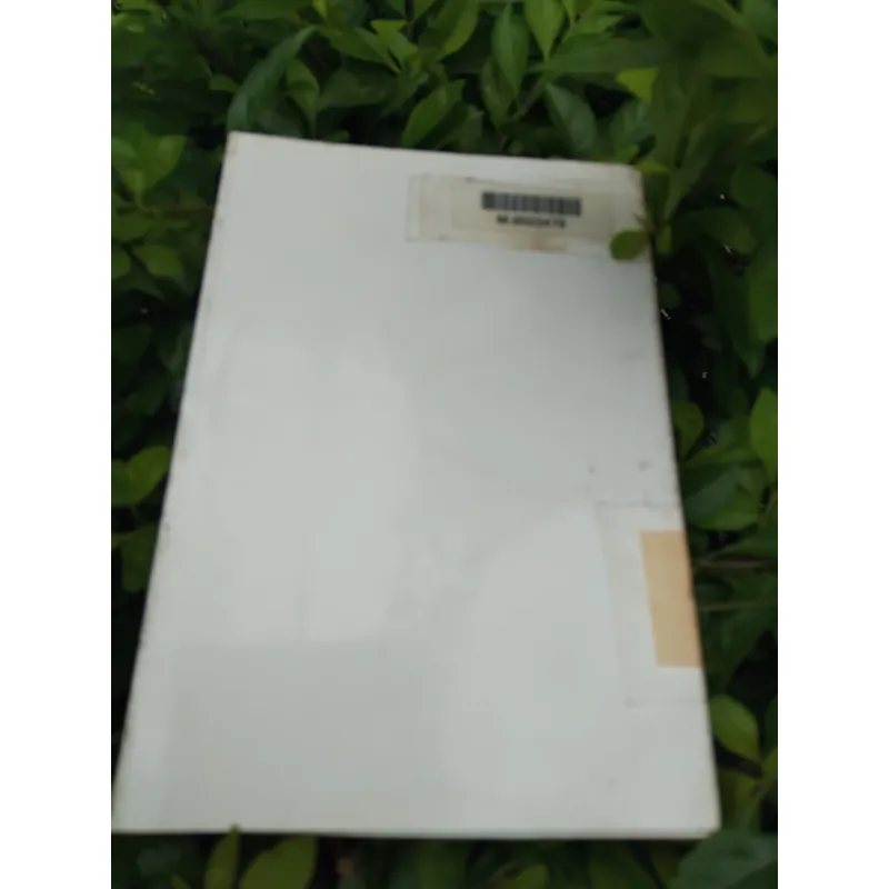 Văn hóa nghệ thuật Nam Bộ  995544