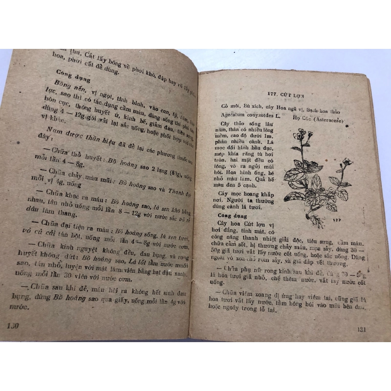 Trồng Hái Và Dùng Cây Thuốc - 474 Trang 312748