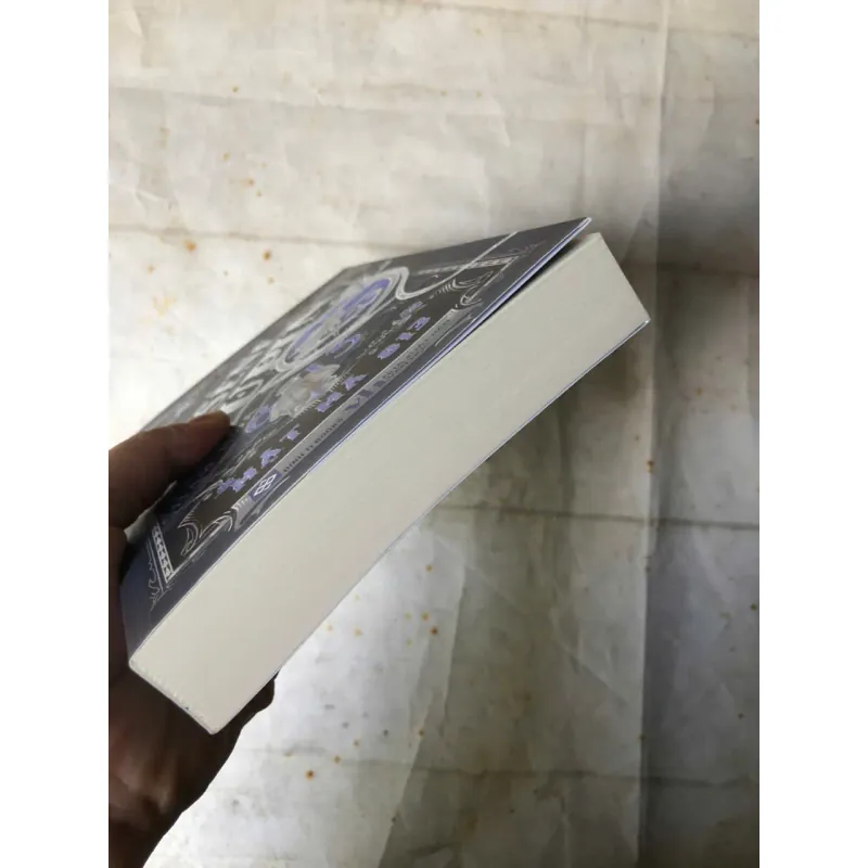 Arsène Lupin - Siêu Trộm Hào Hoa - Mật Mã 813 | Maurice Leblanc 801080