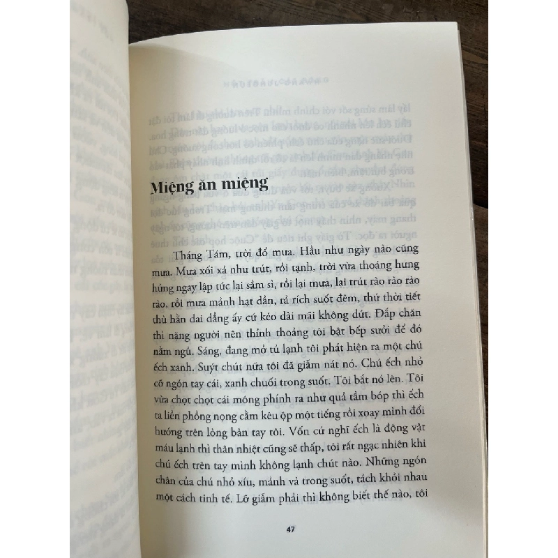 Một trăm cái bóng - Hwang Jungeun 703489