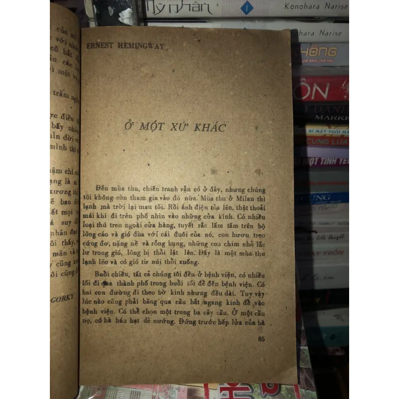Tình nhân của nàng - M. Gorki 1039342