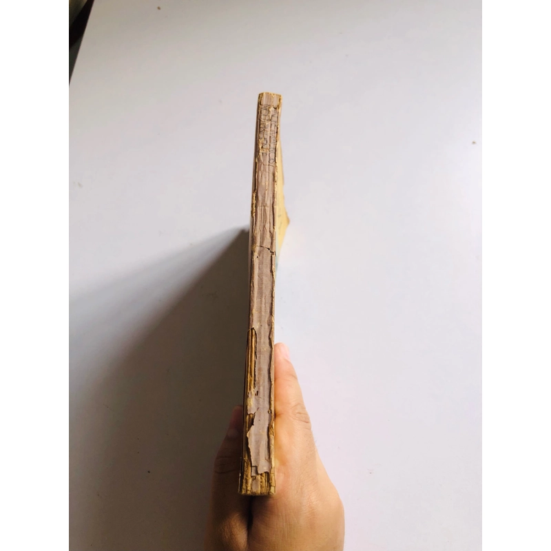 THƯ NGỎ GỬI TUỔI ĐÔI MƯƠI  529546