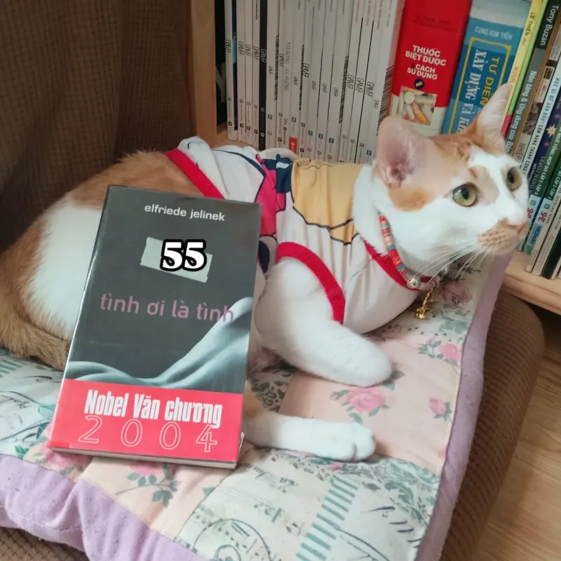 Tình ơi là tình - Elfriede Jelinek (Nobel văn chương 2004) 925704