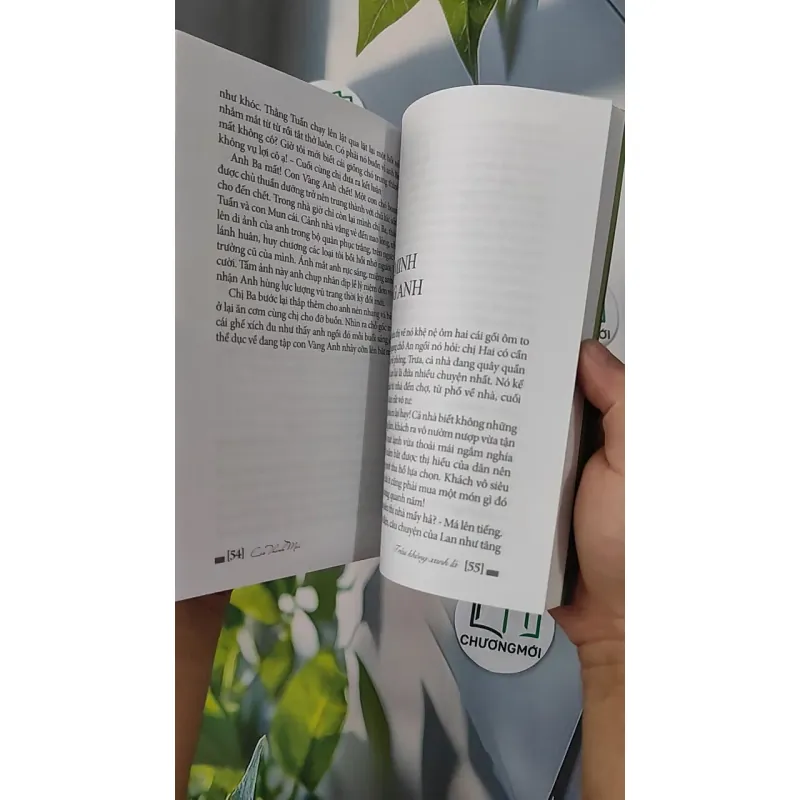 Trầu Không Xanh Lá - Cao Thanh Mai 798319