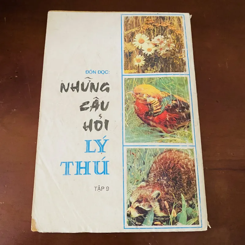 Những câu hỏi lý thú (1991) 974228
