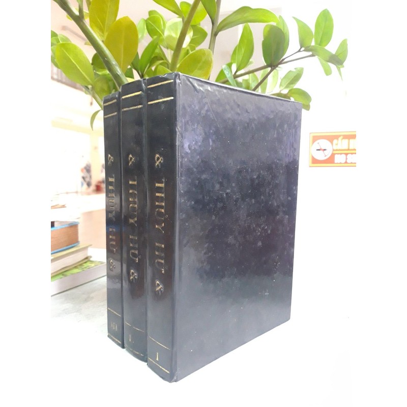 THỦY HỬ - TRẤN TUẤN KHẢI 185704