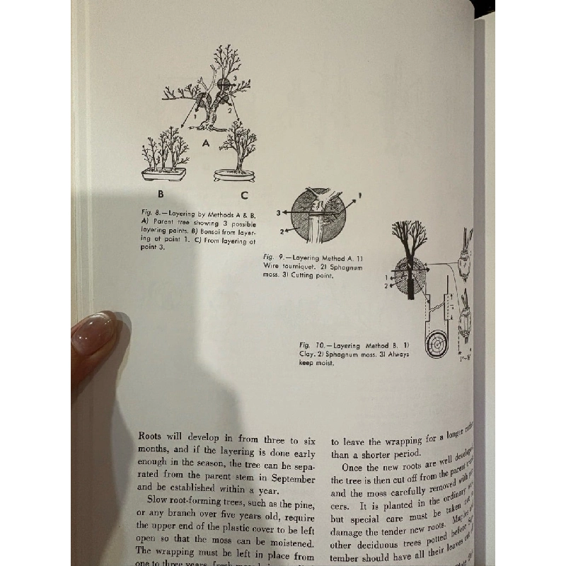 The art of bonsai - Yuji Yoshimura 927634