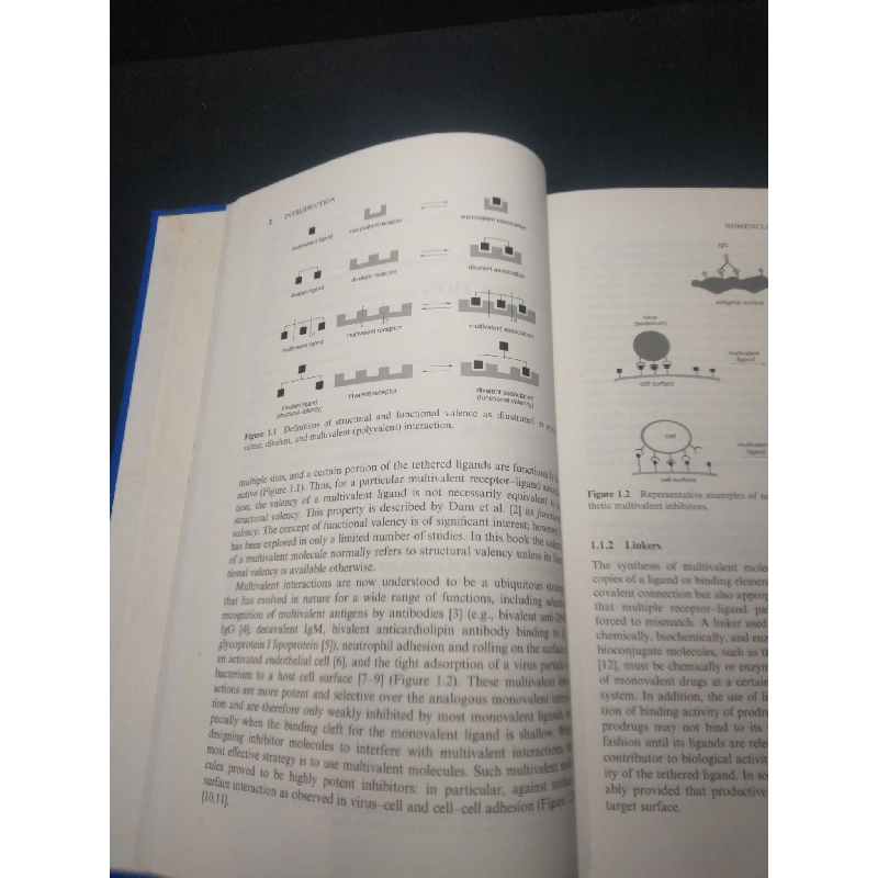 Synthetic multivalent molecules (bìa cứng) mới 81% ố trầy bìa nhẹ HCM.TN0612 451832