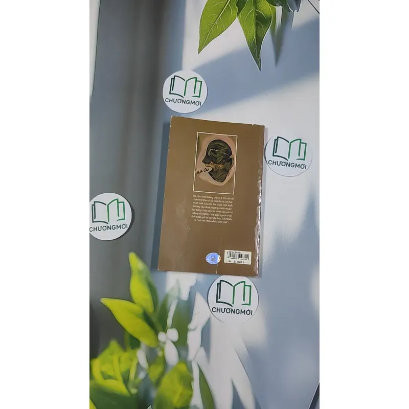 Bài học đầu tiên - Trần Thị Hồng Hạnh 798504