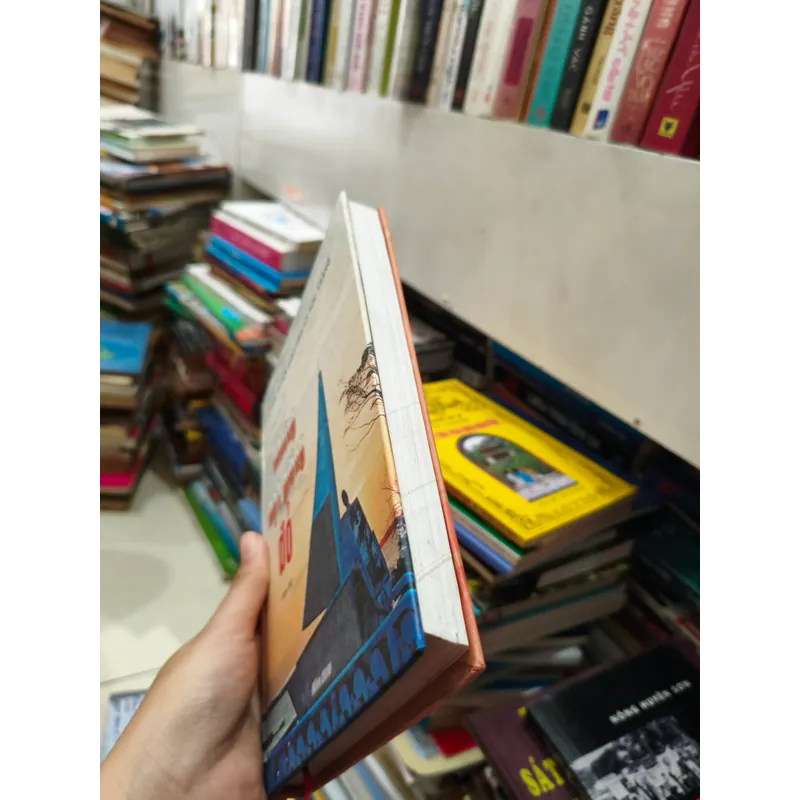 Những hạt giống đỏ 🌱 559018