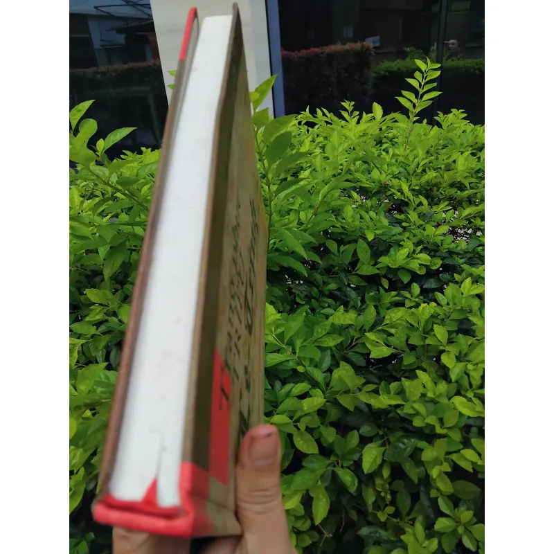 Trang phục triều Lê - Trịnh của Trịnh Quang Vũ 971396