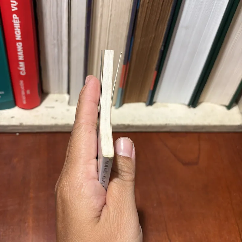 II Cung Hoàng Đạo: Một Cách Nhìn Về Cuộc Đời _ Xử Nữ - Nam Việt, Khánh Linh - 2009 723274