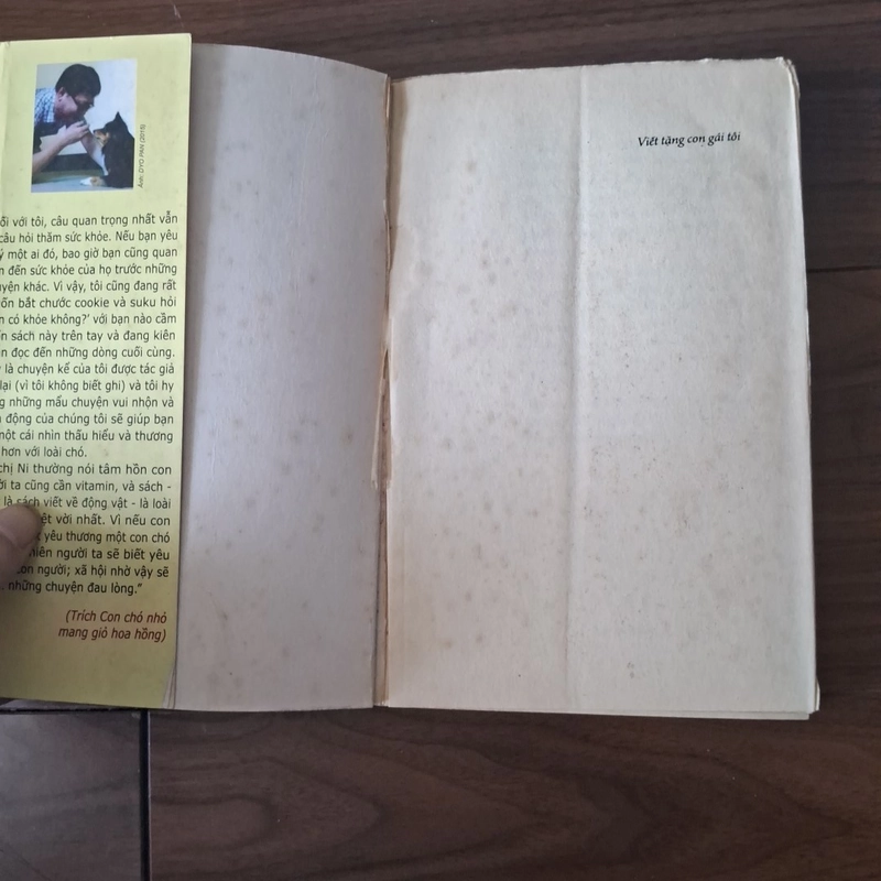 Con chó nhỏ mang giỏ hoa hồng 524395