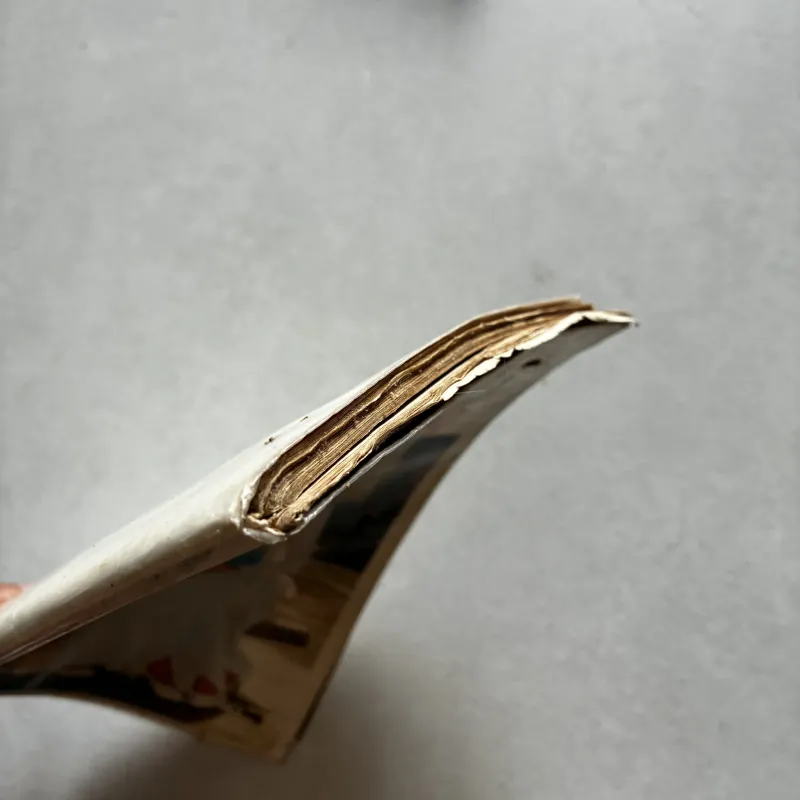Một thời áo trắng 1046127