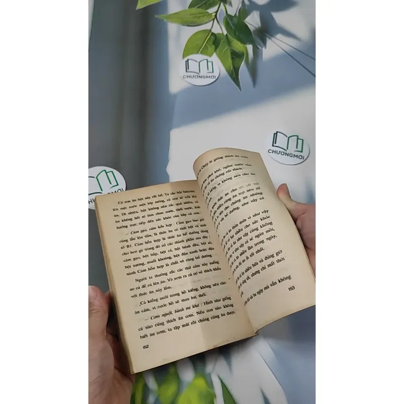 [XƯA] Thú Chơi Cá Kiểng Xưa Và Nay (1996) - Việt Chương 775981