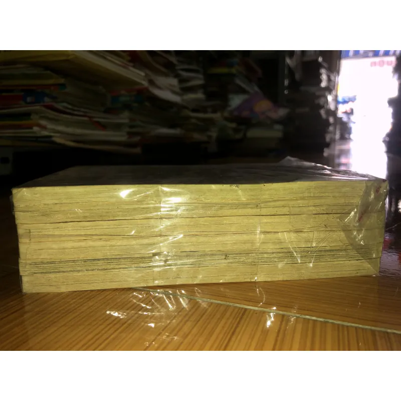 Orphen - Yoshinobu Akita & Hajime Sawada 782060