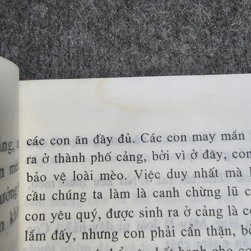 Chuyện con mèo dạy hải âu bay + con mèo dạy bay - Luis Sepulveda 1039477