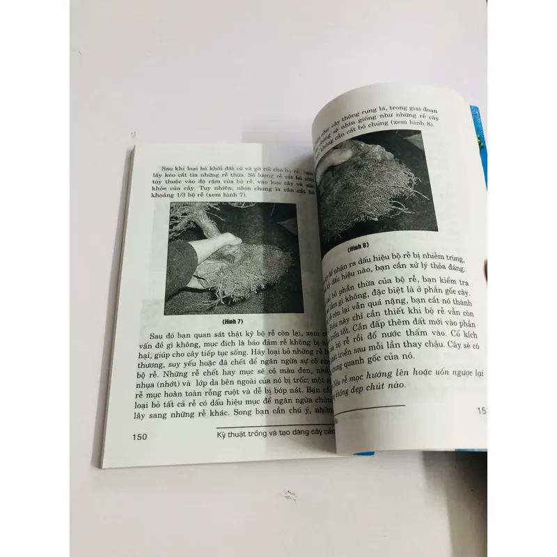KỸ THUẬT TRỒNG & TẠO DÁNG CÂY CẢNH 595095