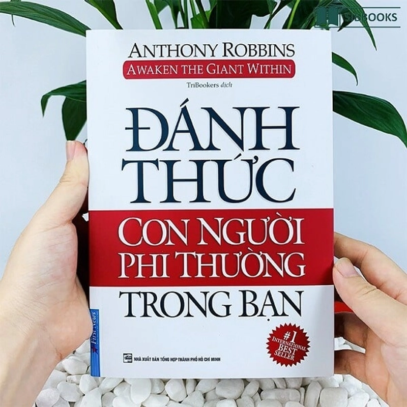 Sách - Đánh Thức Con Người Phi Thường Trong Bạn 446227
