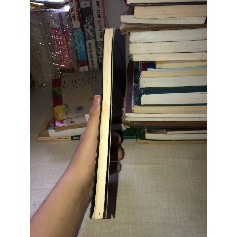 Albert Einstein tuổi thơ gian khó và cuộc đời khoa học vĩ đại  970707