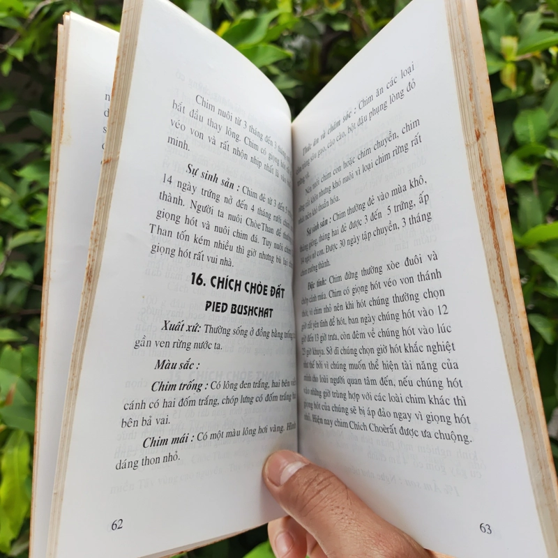 Kỹ Thuật Nuôi Dạy Các Loài Chim - Lê Thanh - Nhã Uyên 532118
