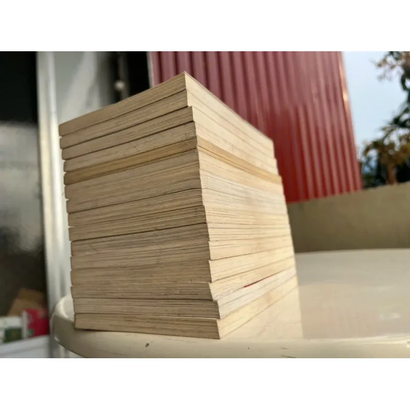 HAJIME LÀ SỐ 1 957372