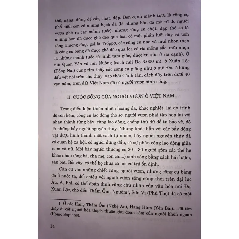 Lịch sử Việt Nam giản yếu 740447