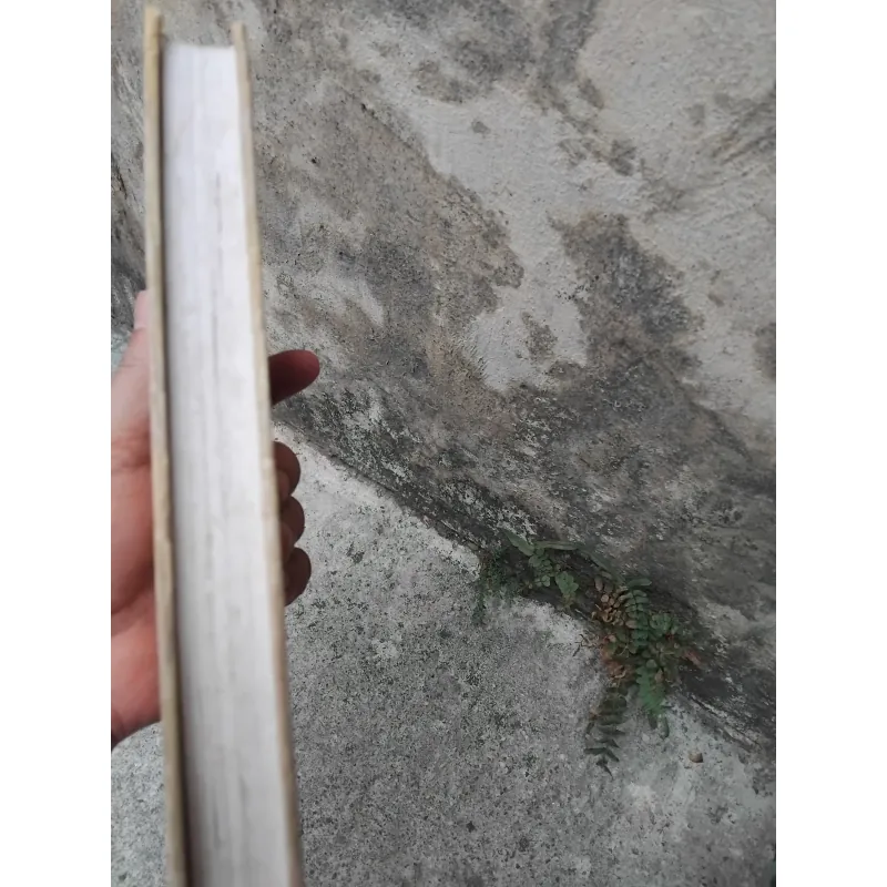 Truyện ngắn Sê khốp ( Tsekhov )  1025107