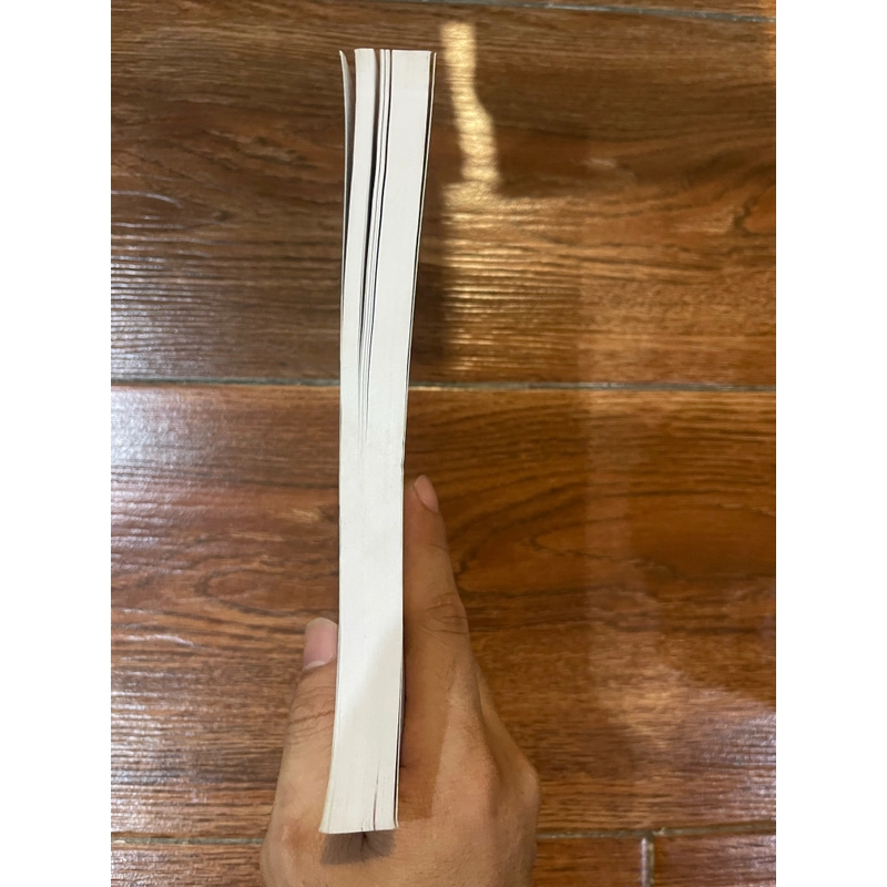 Về chính sách đối ngoại và ngoại giao Việt Nam (9) 503093