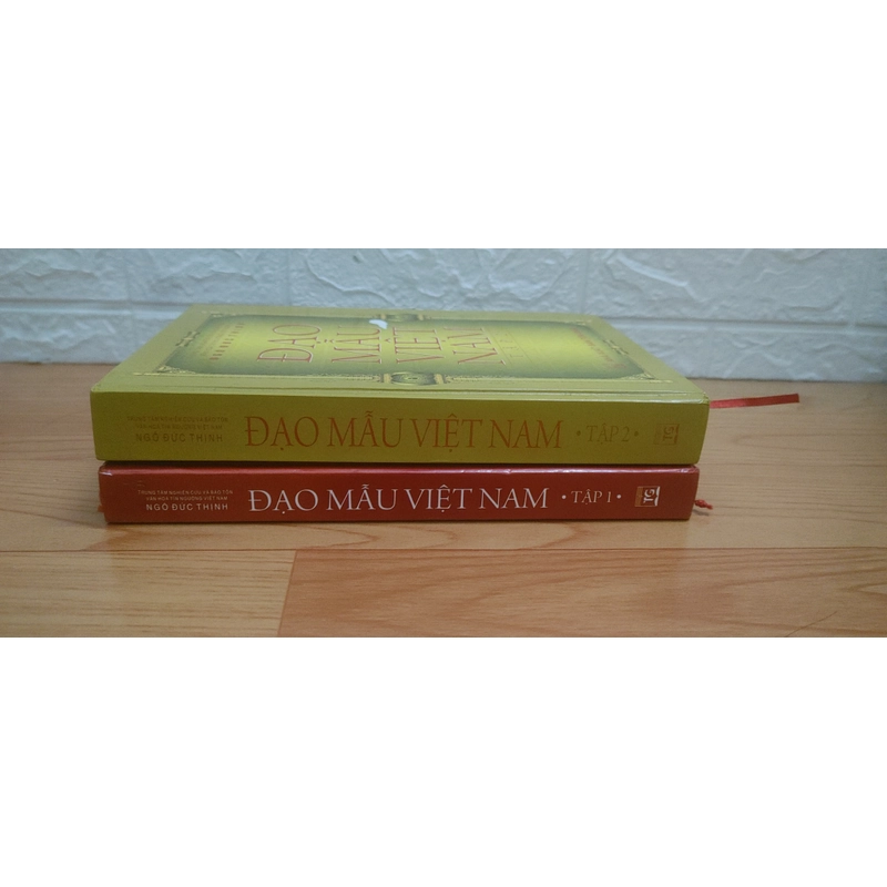 Đạo Mẫu Việt Nam  493467