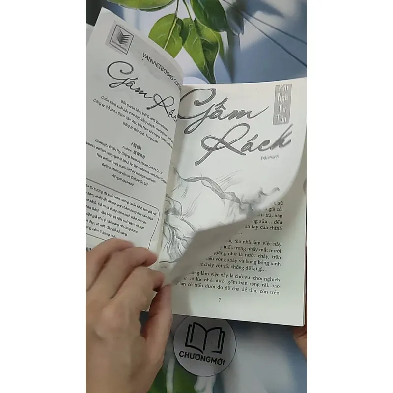 Gấm rách - Phỉ Ngã Tư Tồn 688659