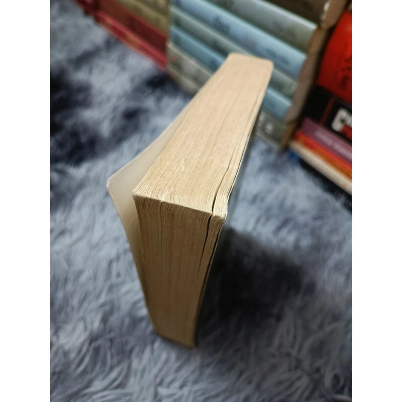 Chúa tể đầm lầy (Michel Tournier) 528479