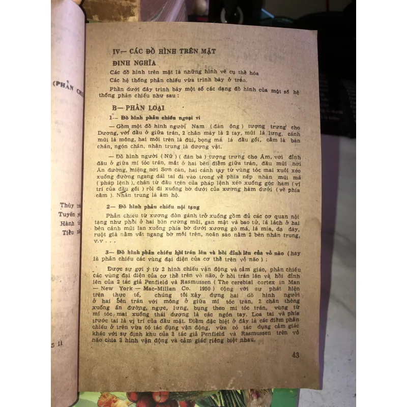 Diện chẩn điều khiển liệu pháp diện chẩn diện châm - Bùi Quốc Châu 1031951