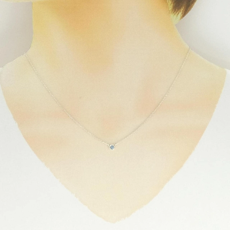 Dây chuyền Tiffany By The Yard - Hàng hiệu Authentic 841668