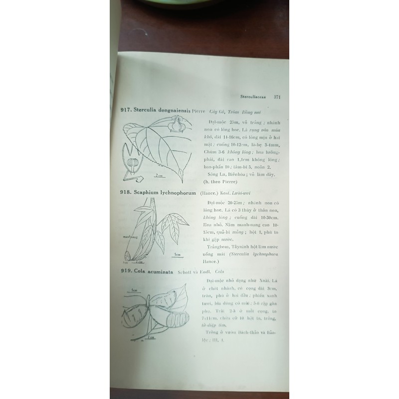 CÂY CỎ MIỀN NAM VIỆT NAM - Phạm Hoàng Hộ 194860