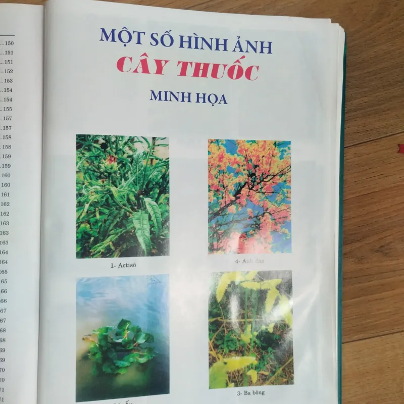 Bộ sách Từ điển Cây thuốc Việt Nam tập 1, 2 1021608