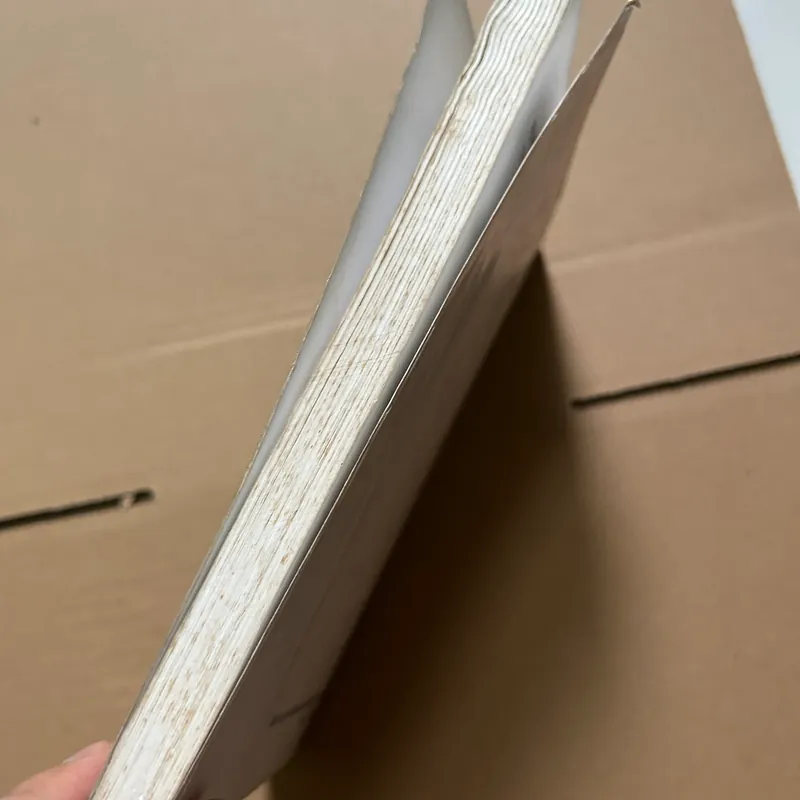 Nhập môn xã hội học 623046