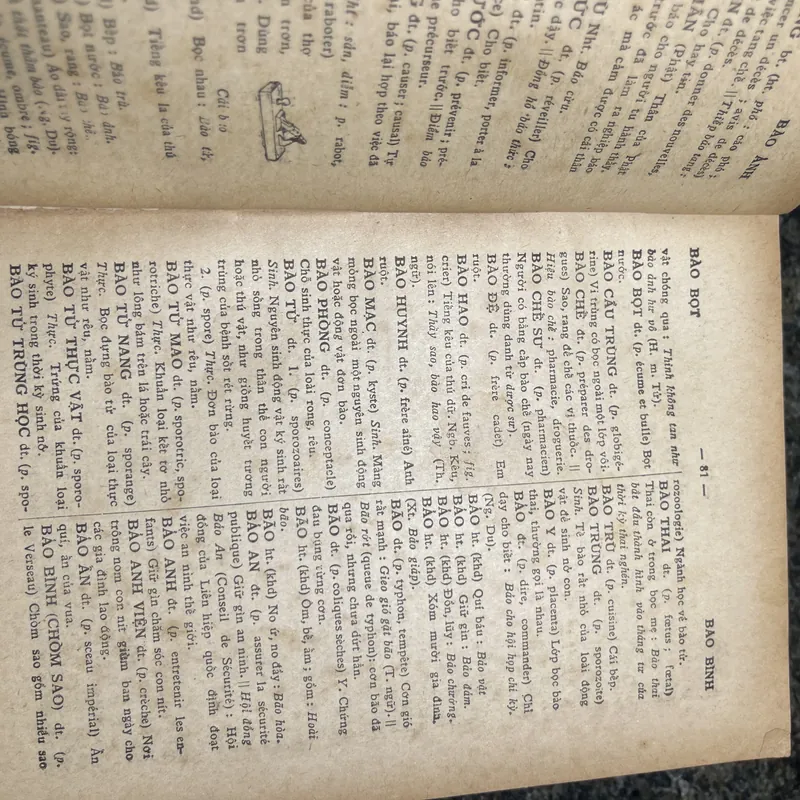 Việt Nam Tân tự điển Thanh Nghị minh hoạ 705923