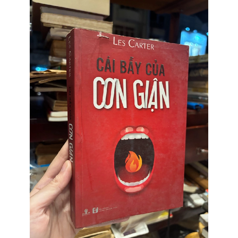 CÁI BẪY CỦA CƠN GIẬN - LES CARTER 161357