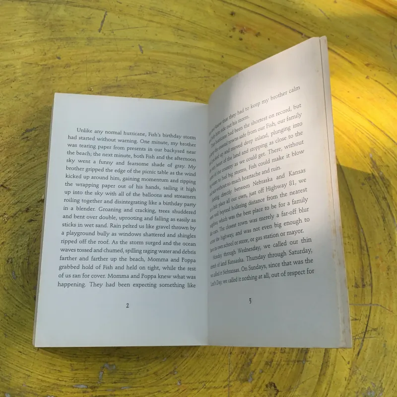 SWITCH- INGRID LAW 763340