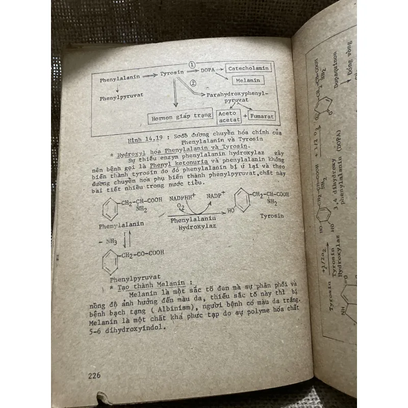 Bài giảng hóa sinh y học - gần 300 trang  799002