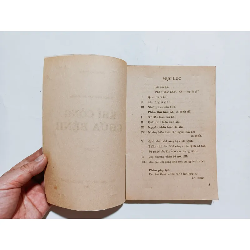 Khí Công Chữa Bệnh - Hoàng Vũ Thăng ( 2 Tập) 972771